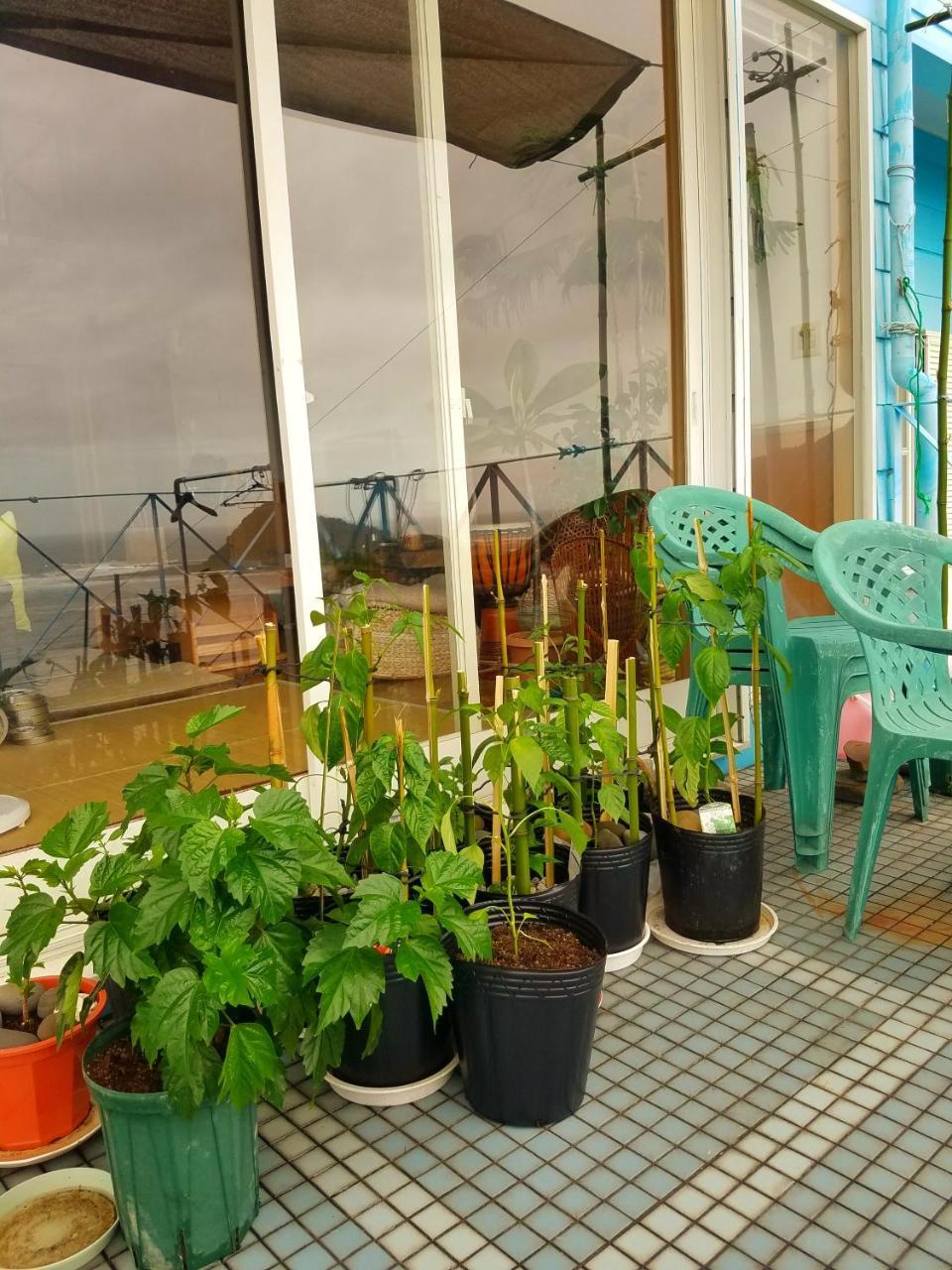 Ocean Home Guest House Miyazaki Bagian luar foto